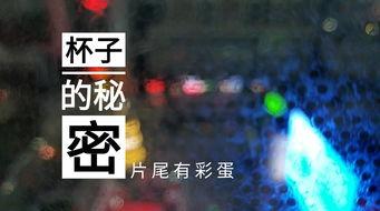 苏州酒店爆料视频最新版,揭秘奢华背后的惊人真相  第2张