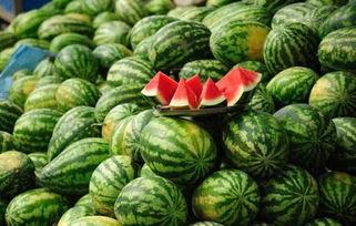 西安吃瓜网红事件真相,真相背后的网络舆论风暴